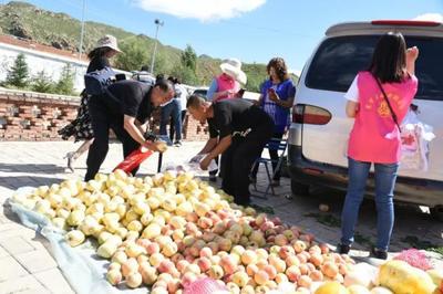 千畝葵花扮靚最美榆林 農副土特產品的生態與經濟交響曲